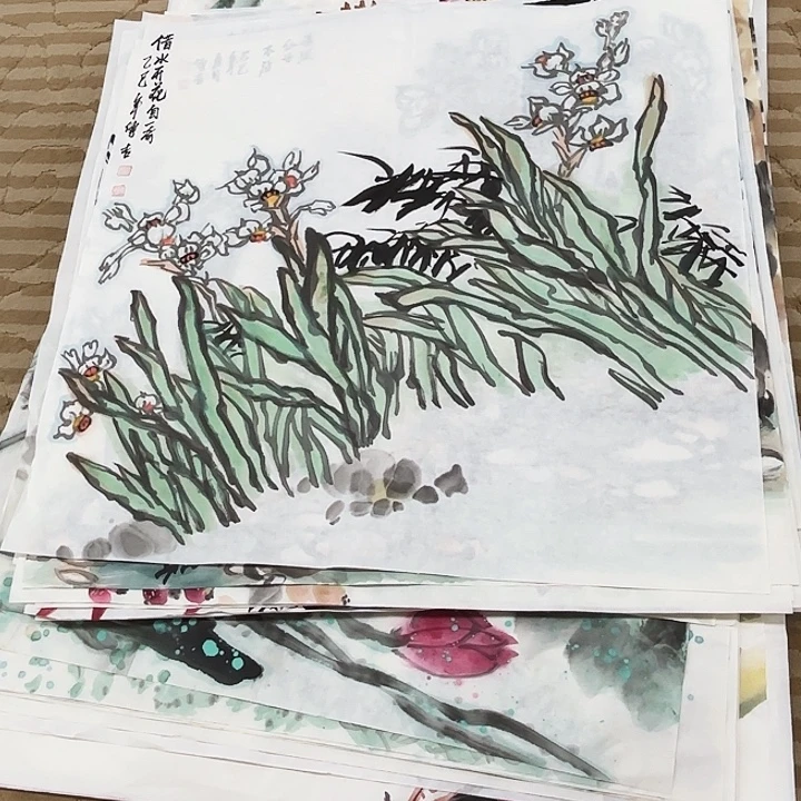 国画花鸟等多种鸟类和鸟类为