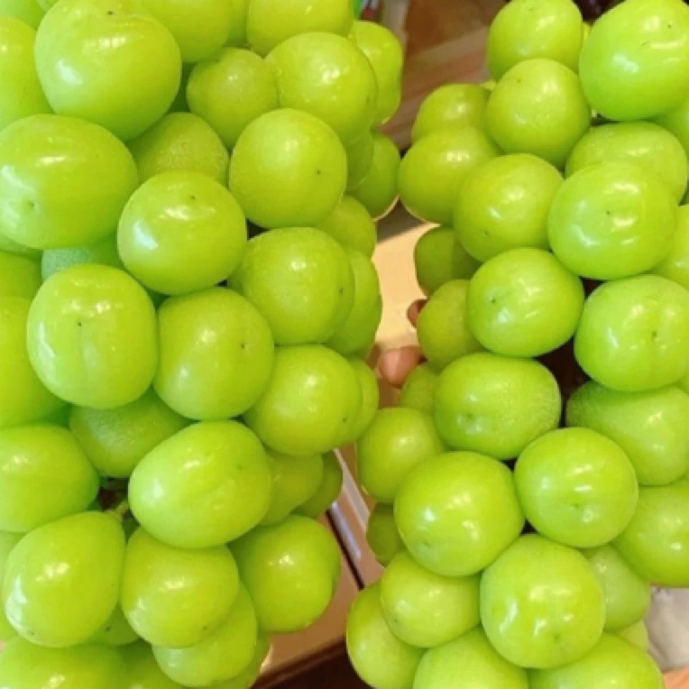 【小时达】晴王葡萄1串（2-2.5斤左右）上海市