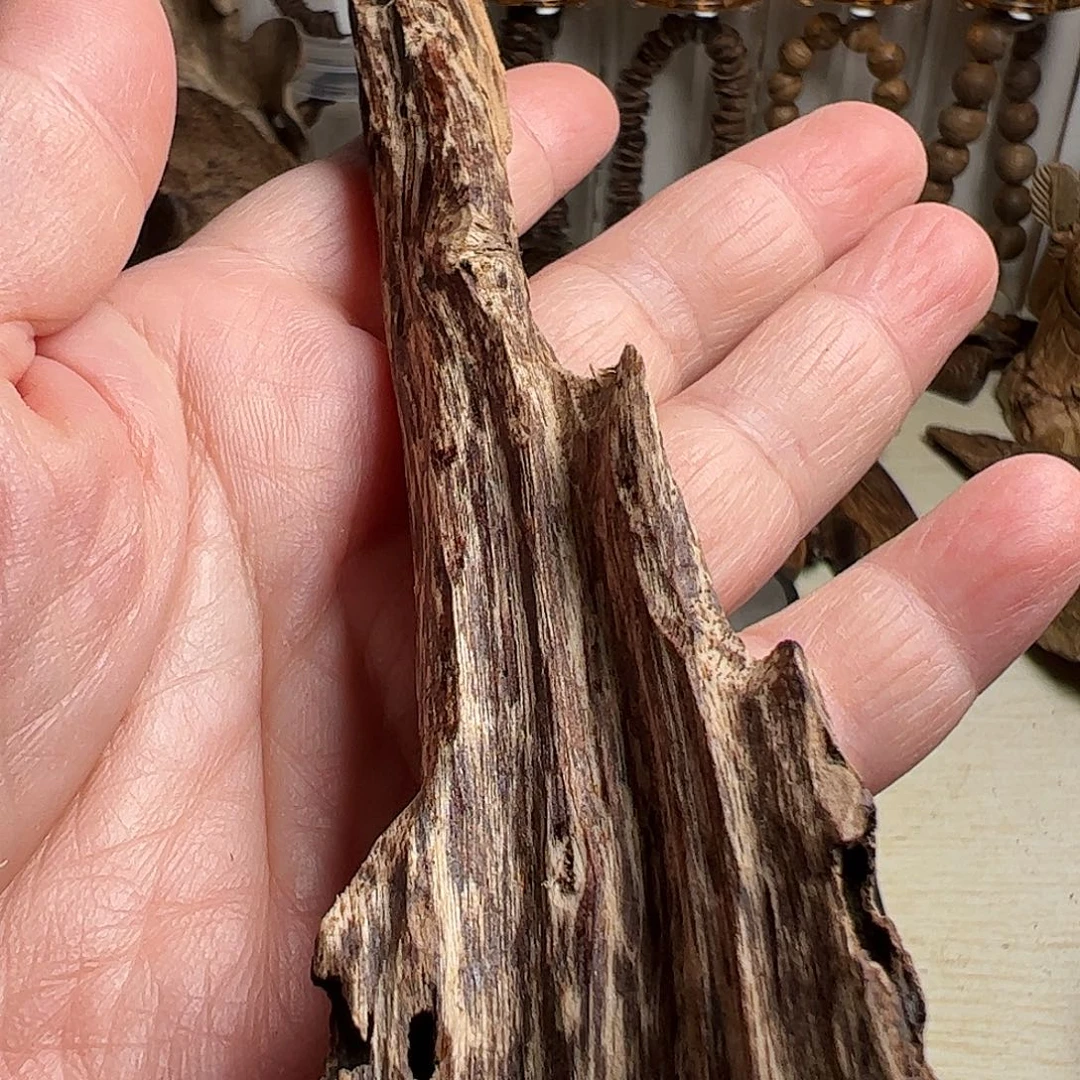 沉香沉香碎屑越南芽庄虫漏11克