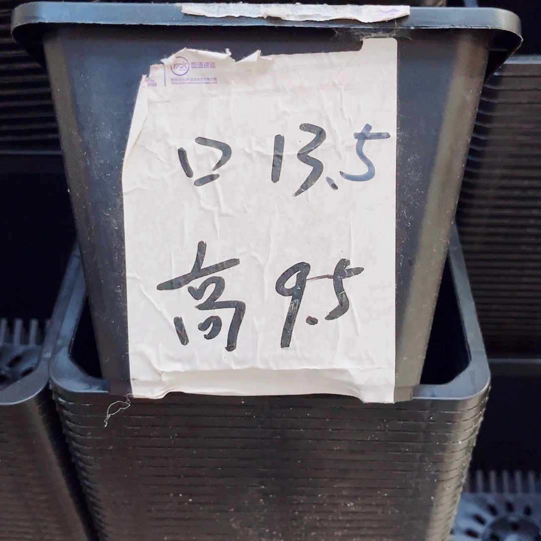 中厚口13高10黑方盆15个无托