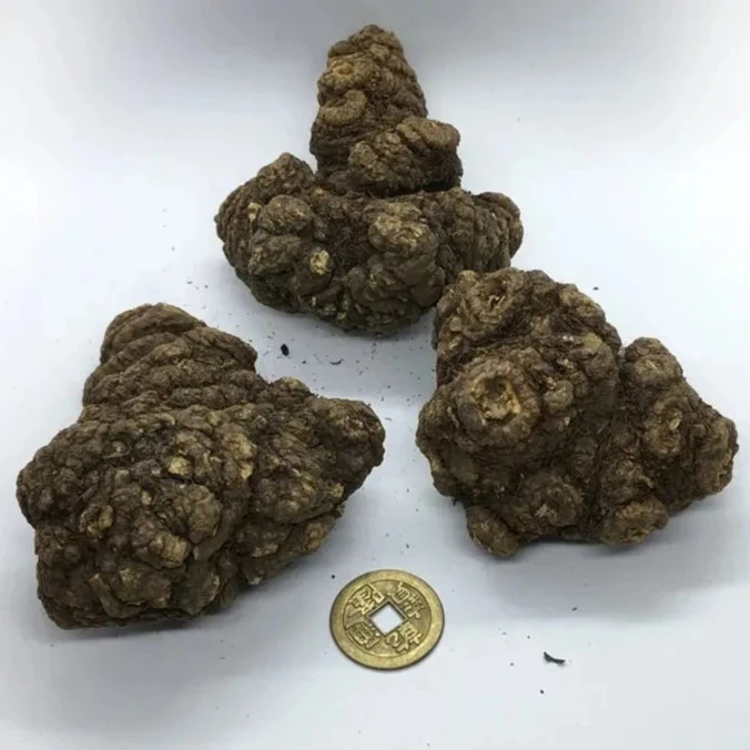 【小强山货】云南下山川芎头