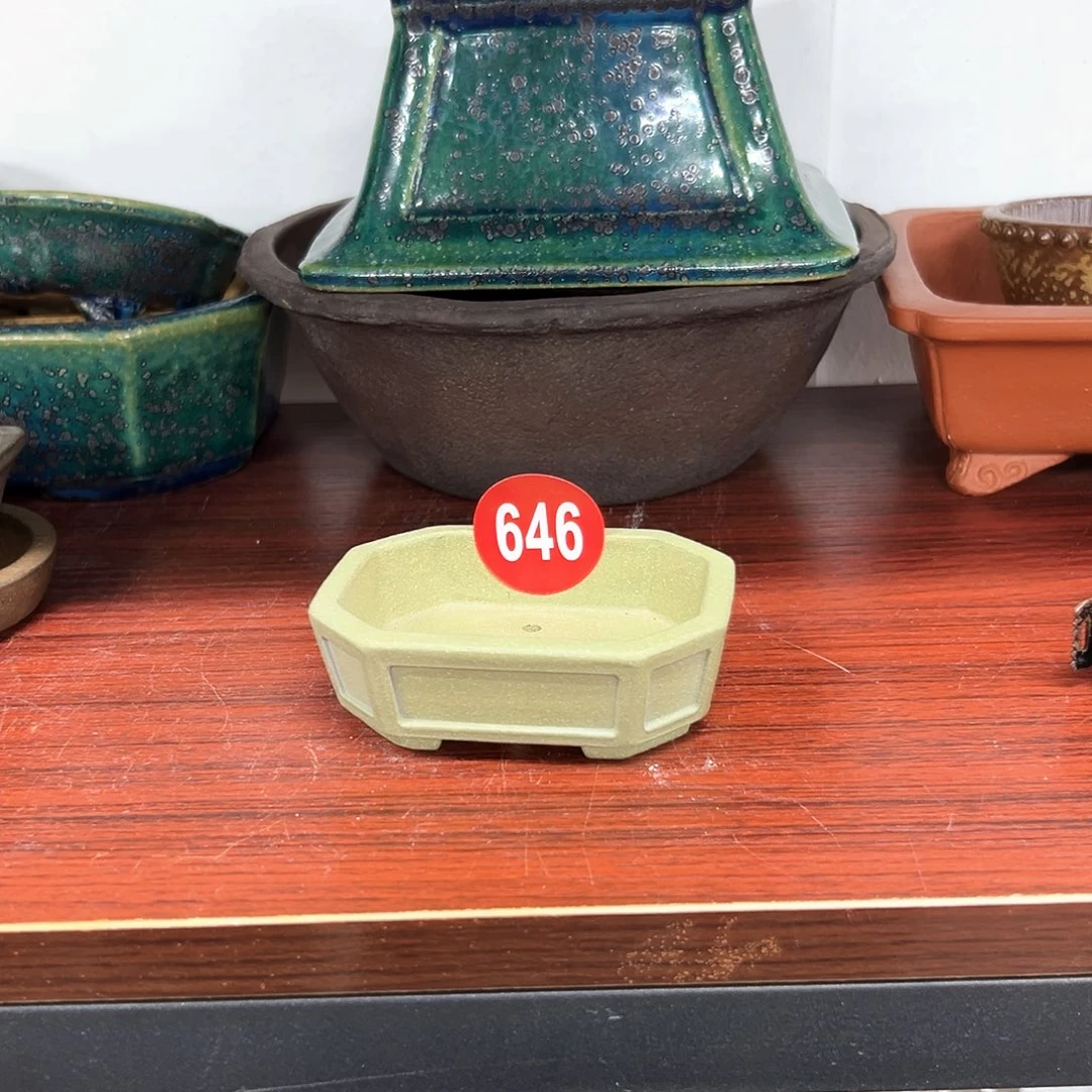 纵***海对你的喜欢就如同这日子只增不减646