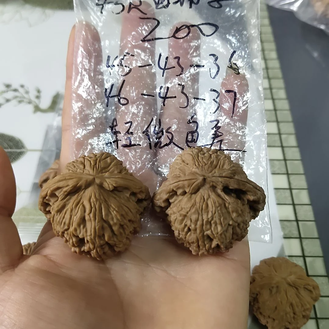 把件文玩核桃文玩核桃把件白狮子