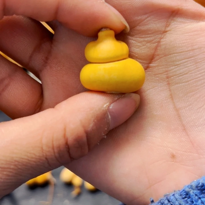 新*地88888888888888888