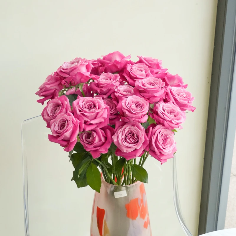 【长相思玫瑰】现采现发 顺丰包邮 山东及周边省市发货后正常次日达