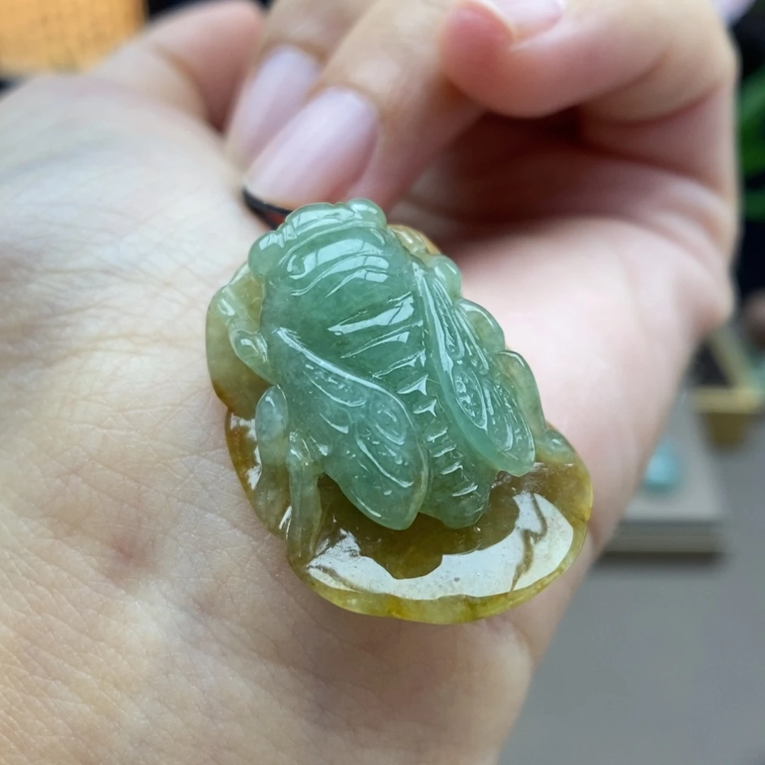 翡翠未镶嵌颈饰吊坠68