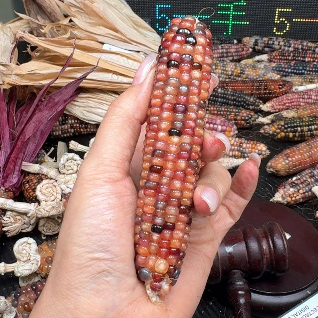 柏香籽/百香籽吊坠念*