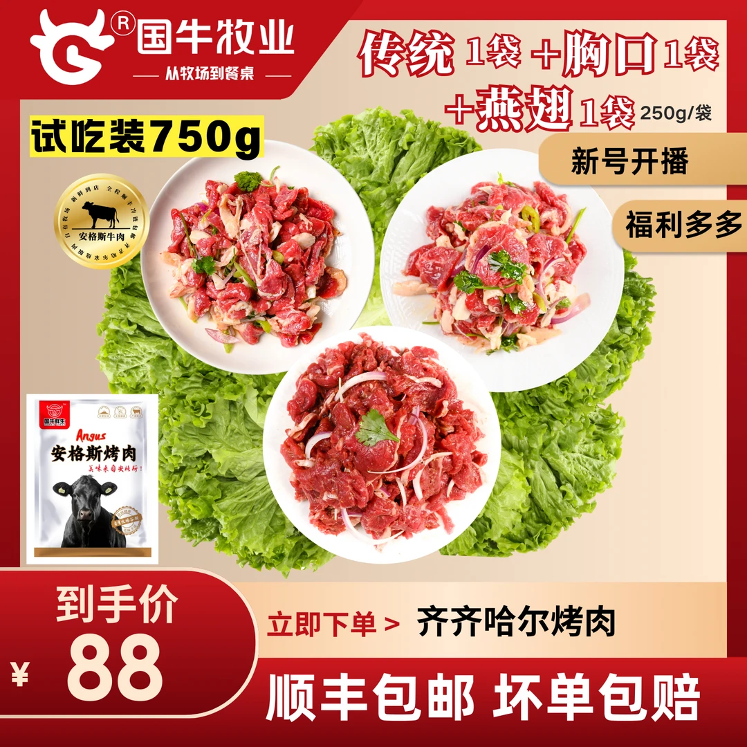 750g尝鲜套餐包邮齐齐哈尔烤肉安格斯鲜牛肉拌肉正宗家庭烧烤食材