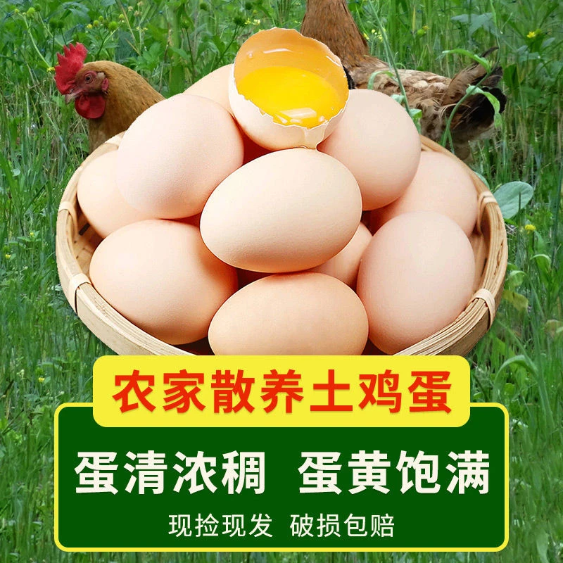 农家散养土鸡蛋现捡现发50枚单枚45g±5g