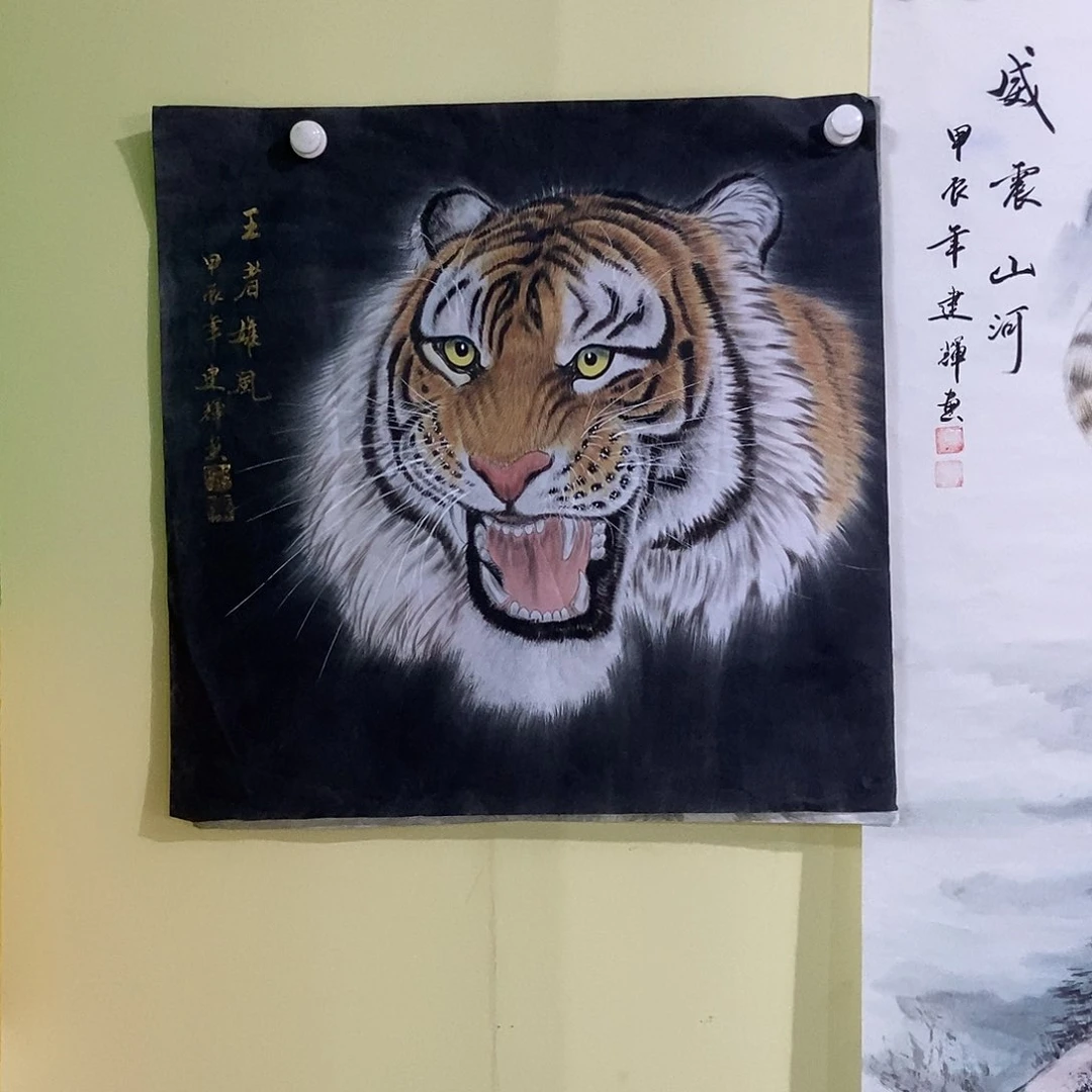 国画四尺斗方工笔虎头一幅