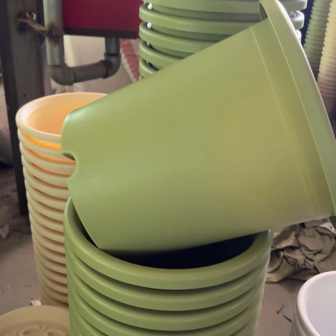 四季7#无拖果绿7个