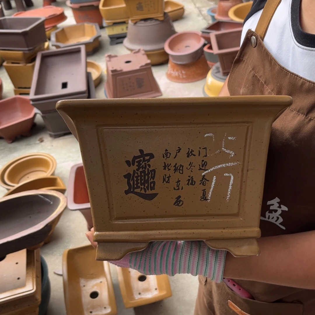 花盆紫砂盆景艺术