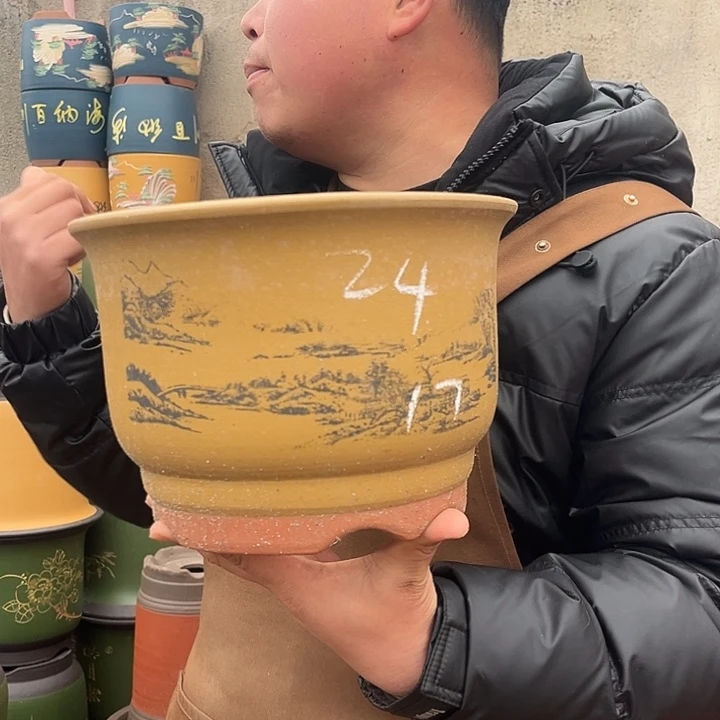 紫砂紫砂花盆盆栽