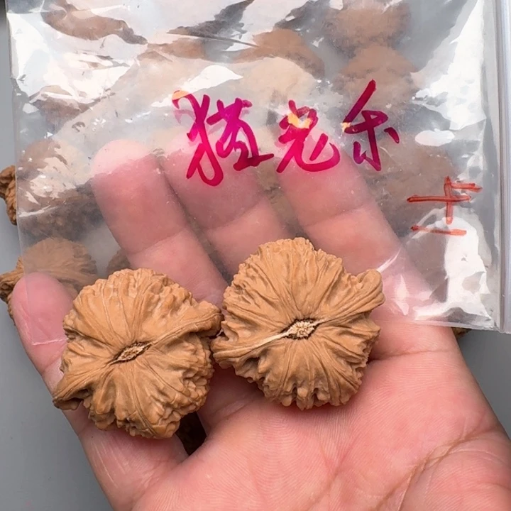 文玩核桃把件猫*乐山地白狮子41