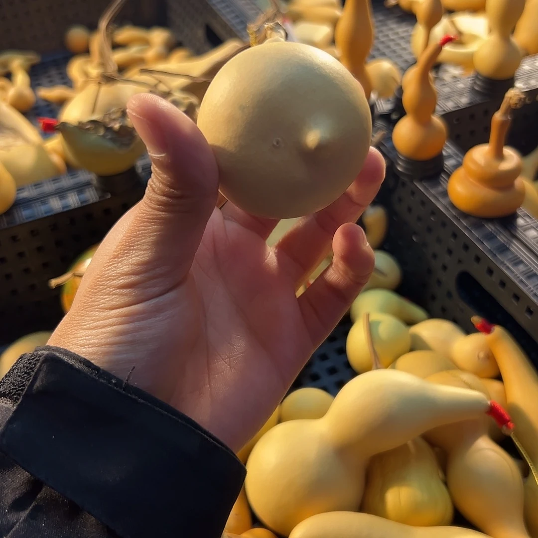 财宝葫芦葫芦葫芦