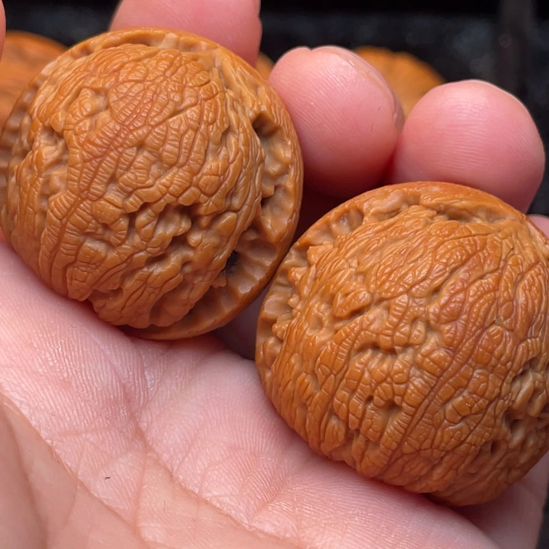 文玩核桃把件36尺寸金蟾背