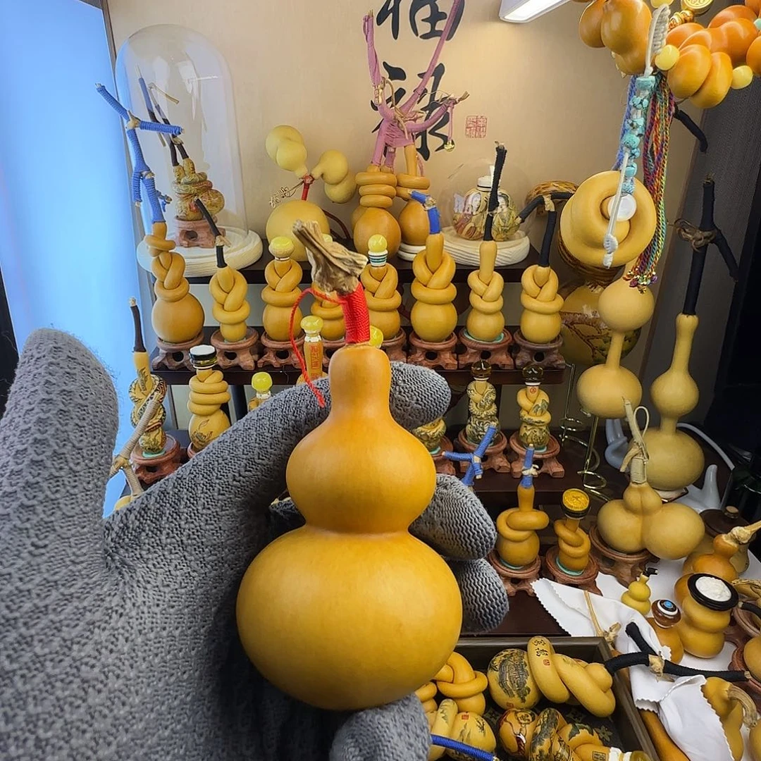 发发发发发发发发发发