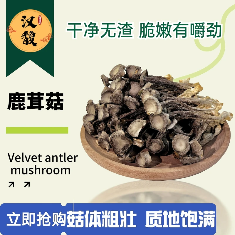 hanfu/汉馥大鹿茸菇 口感脆的菌香味浓散装食用干净鲜香滋补