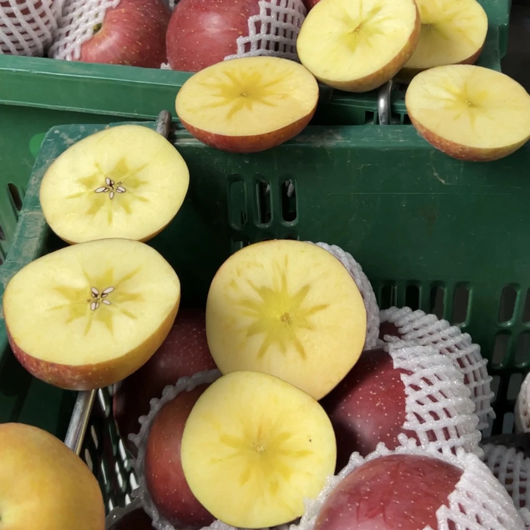 云南昭通红高原冰糖心丑苹果冰糖心苹果新鲜现摘脆甜正宗当季水果