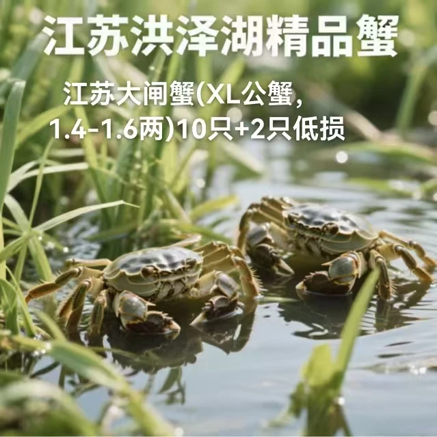 洪泽湖河蟹(XL公,1.4-1.6两,10只+2只抵损)海鲜