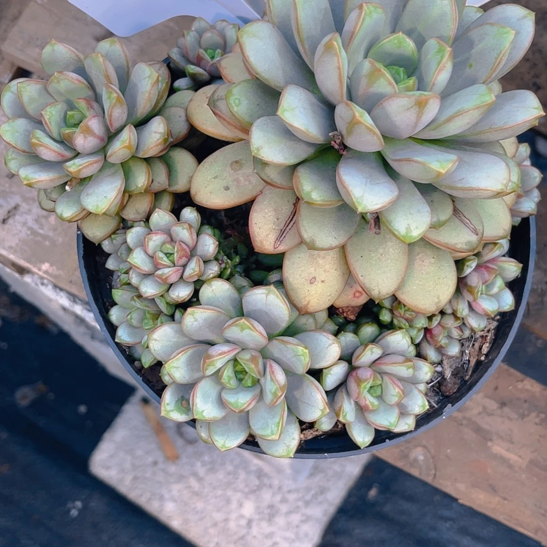 从***过000000000000000637