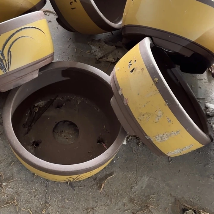 紫砂花盆             50-4