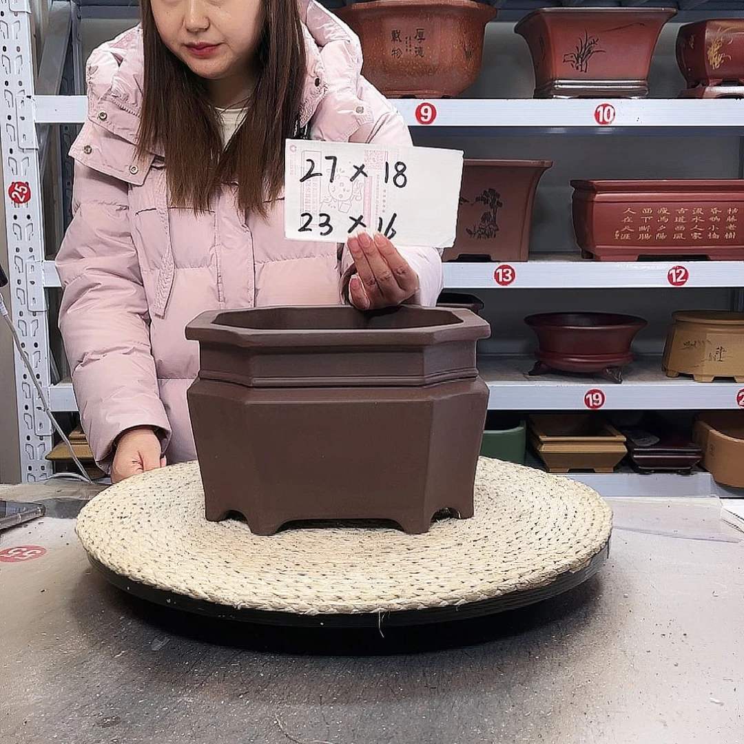 紫砂花盆紫砂花盆里