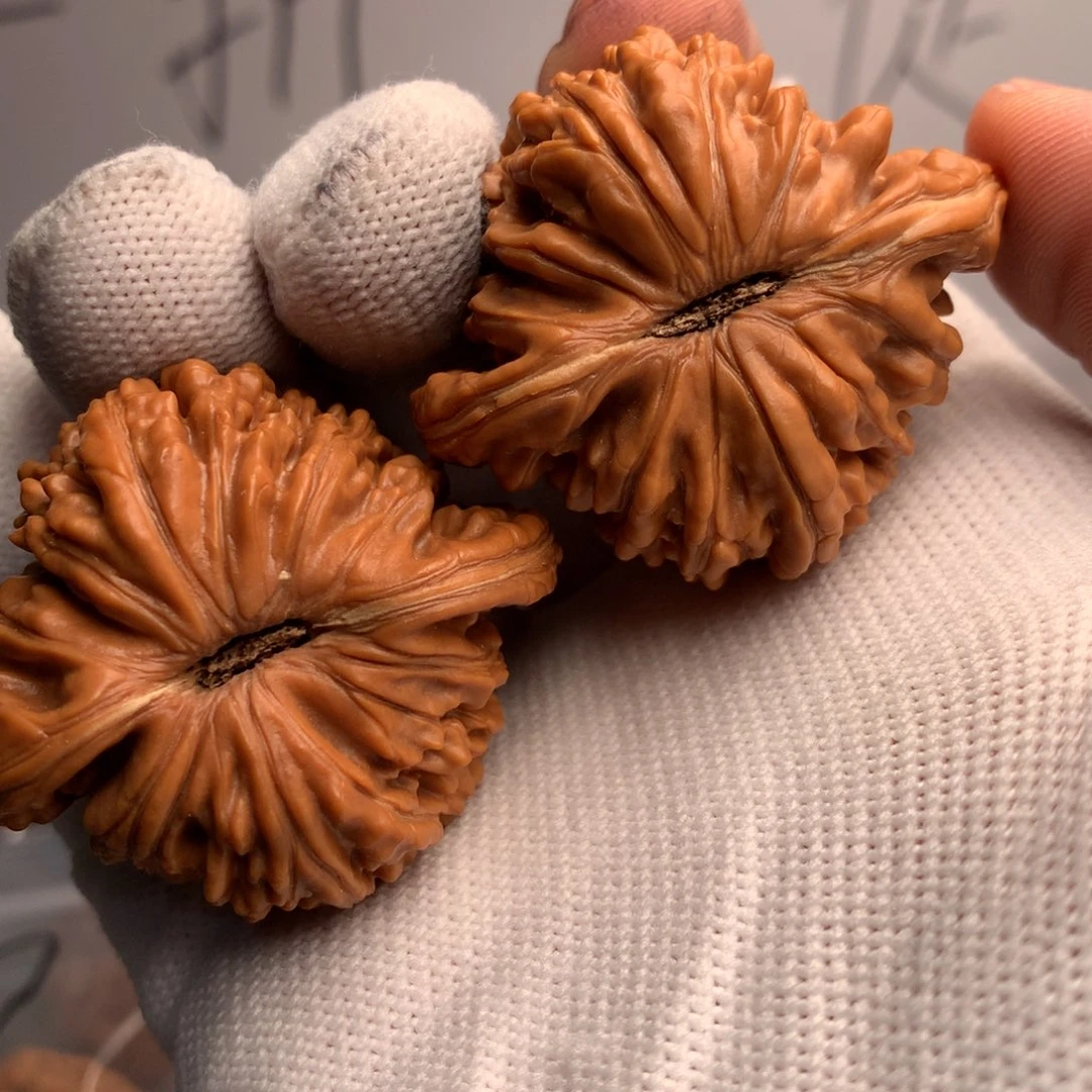 J***Y篓子44号我还得回趟贵阳