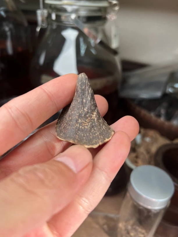 海南包壳子 沉水 重2.3克