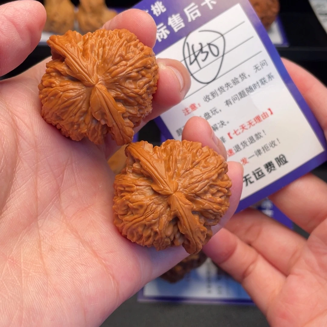 文玩核桃把件白狮40