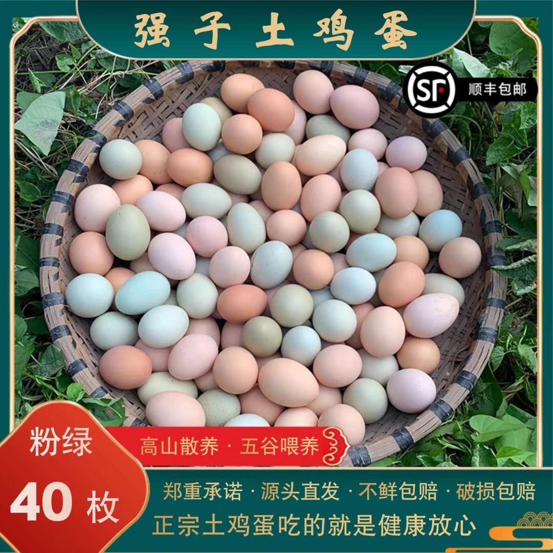 沂蒙山农家散养土鸡蛋草鸡蛋 原生态养殖 现捡 40枚(20粉 20绿)