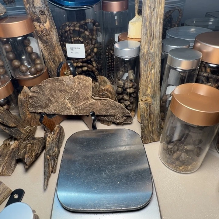 香榧木e***m奇楠树苗树苗