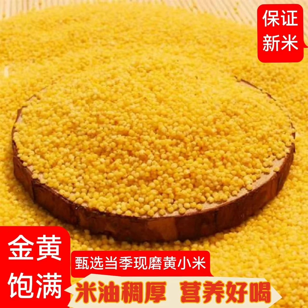 小米[2025年]现磨好小米 农家小米煮粥香糯粘稠