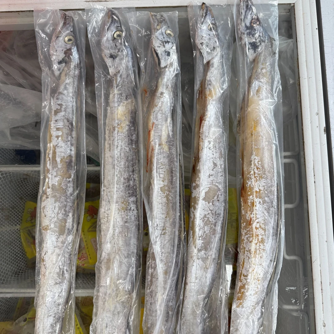 咸风带鱼哈爸舟山海鲜宁波海鲜 6-8两/条