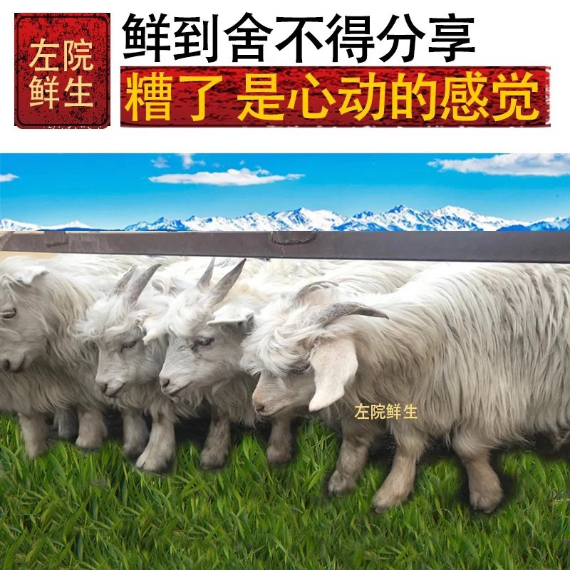 新疆天山山脉冰碴儿小驹骊(冬季礼盒版)