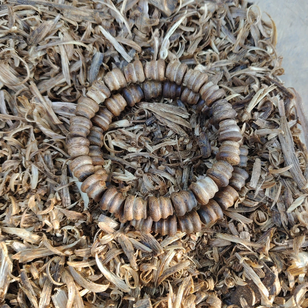 海南乌身老白奇碎块多样性发货