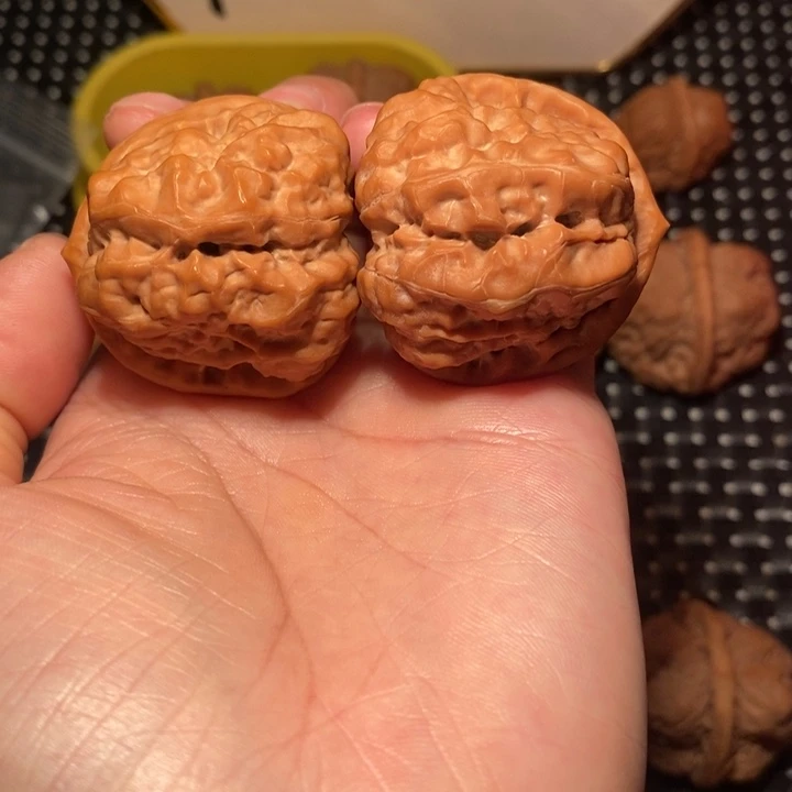 蒙***牙把件文玩核桃蛙王