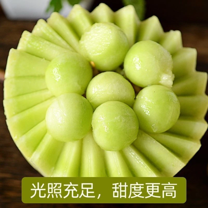 正宗玉菇甜瓜新鲜应季水果冰淇淋爆甜香瓜产地直发
