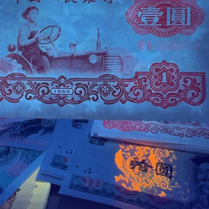 一**清星王发财树特荧光