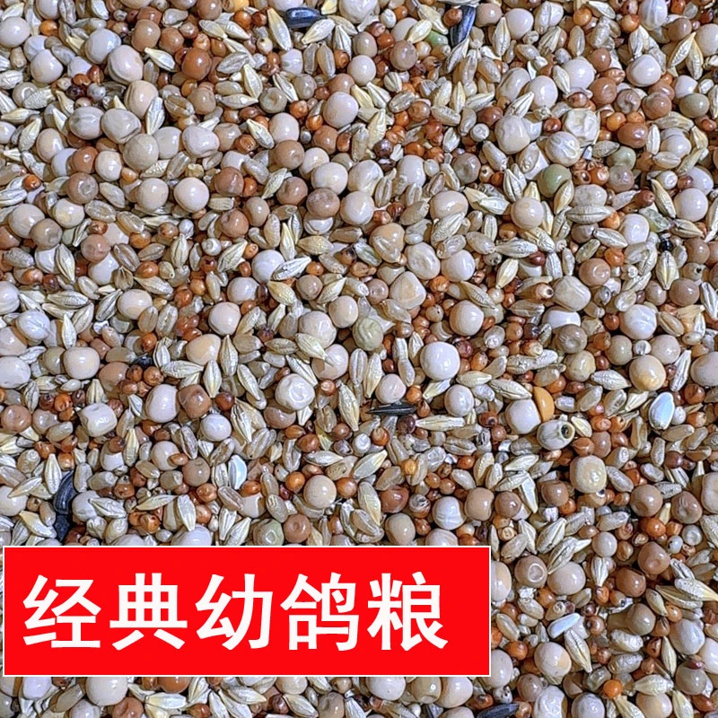 龙领鸽粮经典幼鸽粮50斤包邮无玉米种鸽幼鸽信鸽赛鸽鸽子饲料