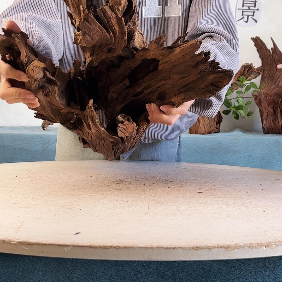 沉木造景爬宠造景