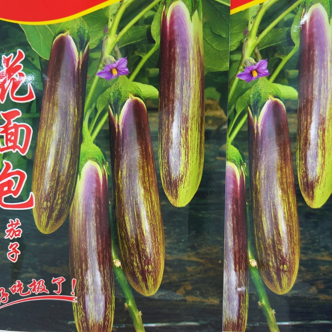 花面包茄子种子10克