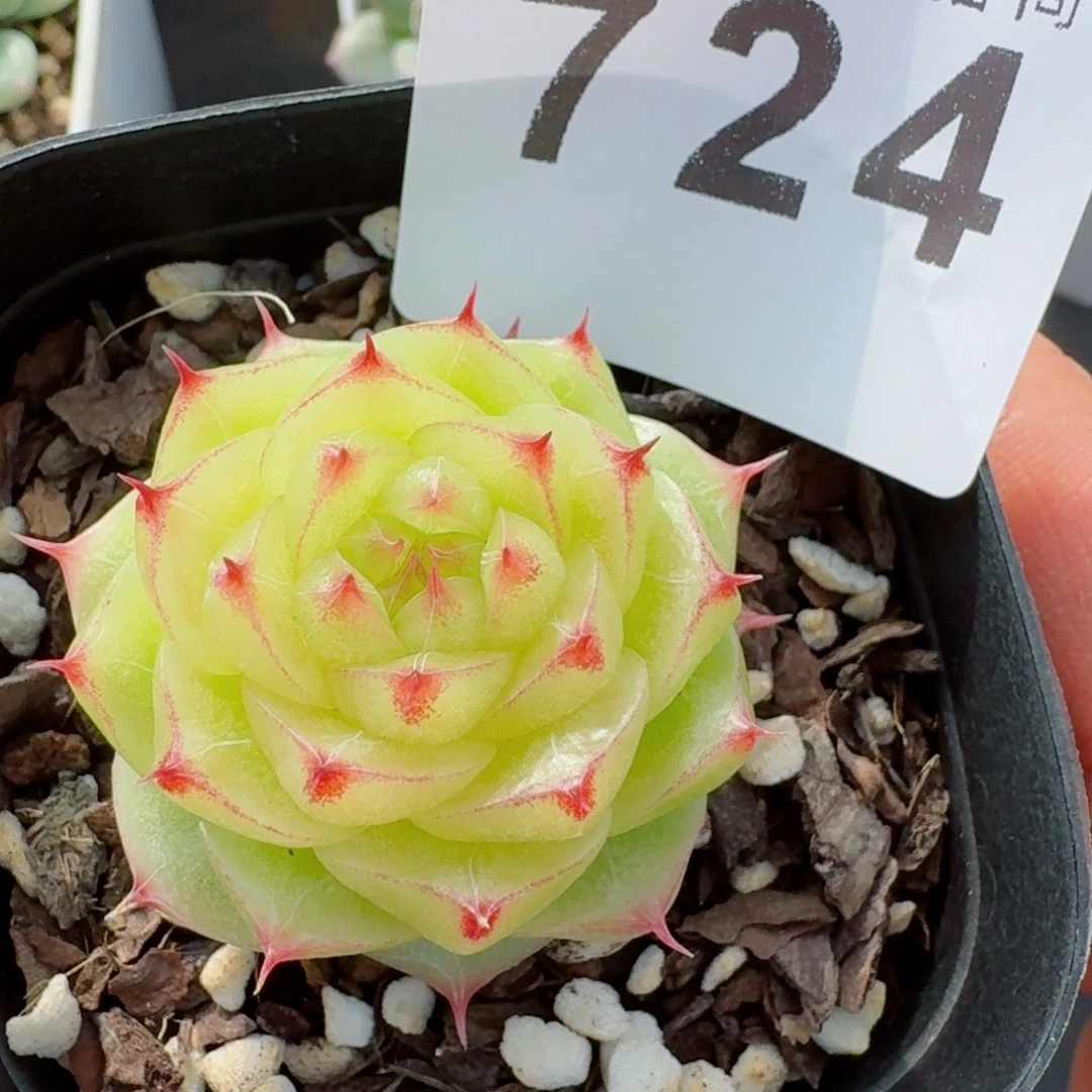 暖***O珍妮      愿你一路坦途，乘风破浪展宏图