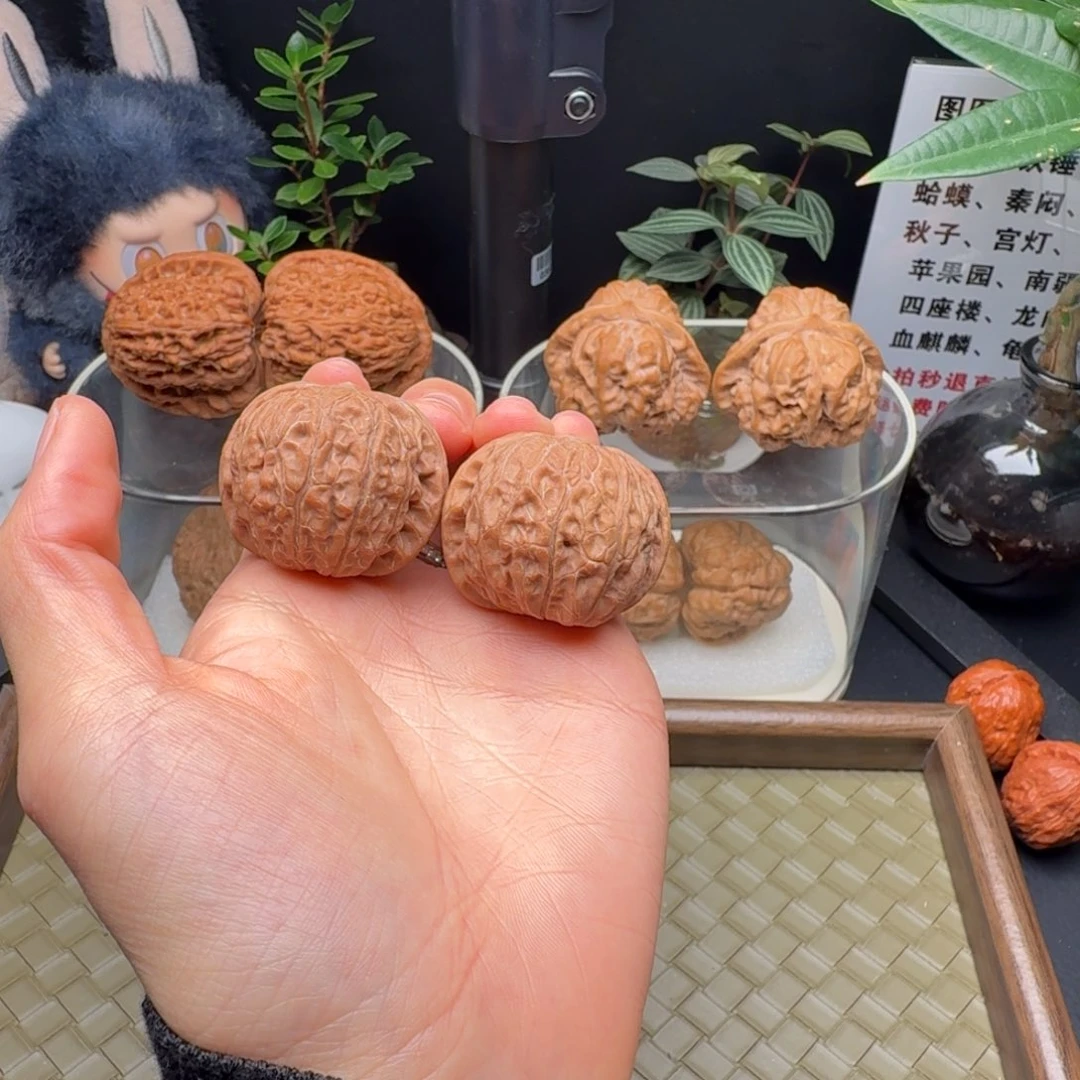 大***作龙脊菩提吊坠全品乾隆磨37+