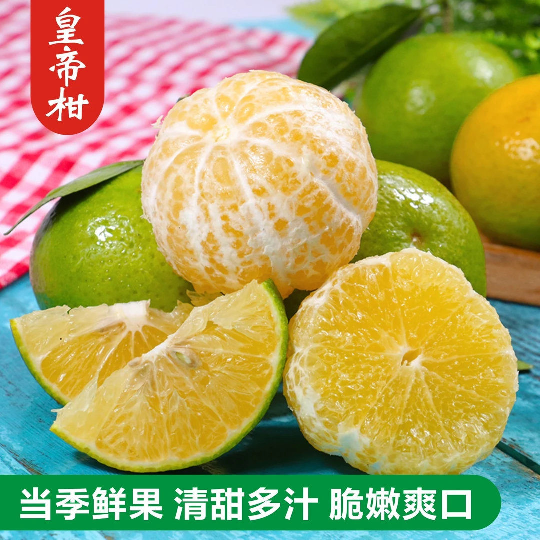 产地直发 广西头茬采摘皇帝柑新鲜当季水果清甜可口