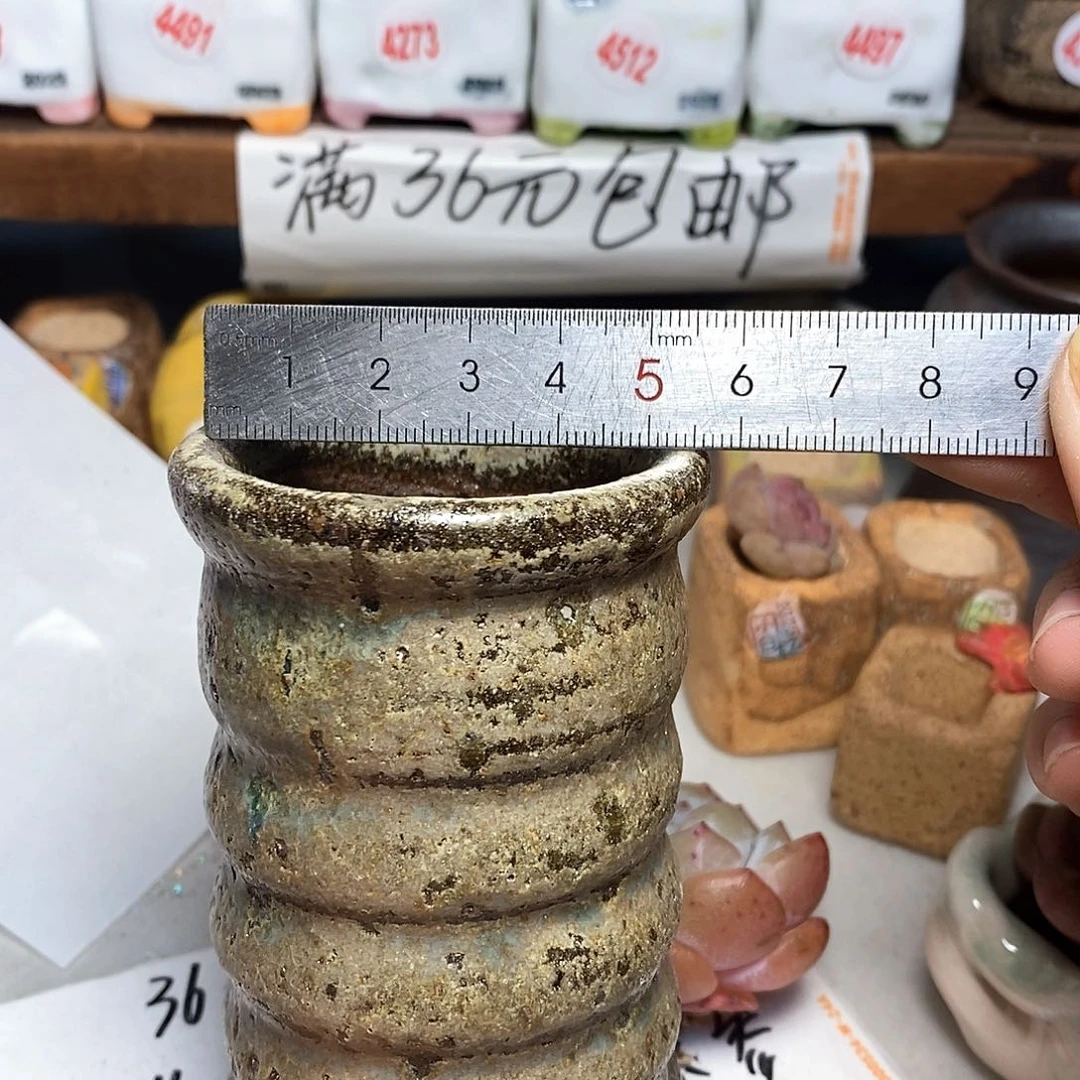 红陶拍5送一个小