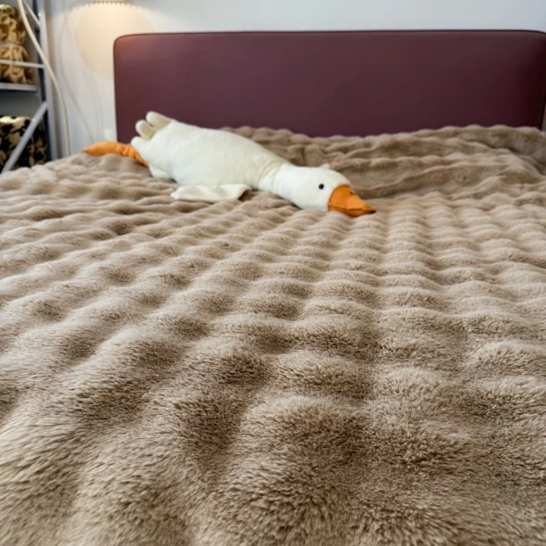 托斯卡纳咖泡泡被子（有运费险）加厚11斤双面绒A类被子