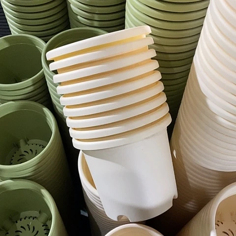 树脂四季2号12个无托米黄