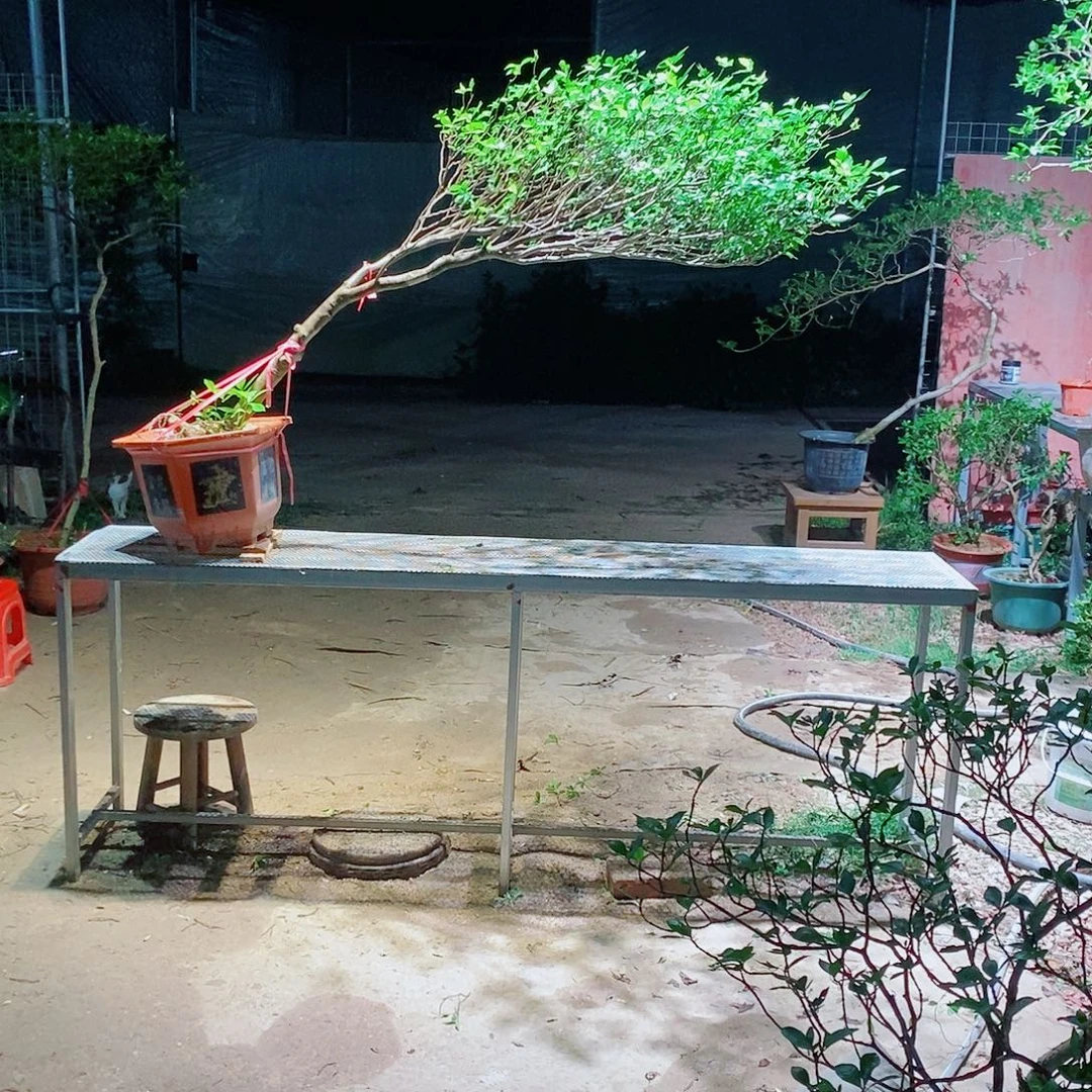 棉***链感谢您的支持和配合和信任