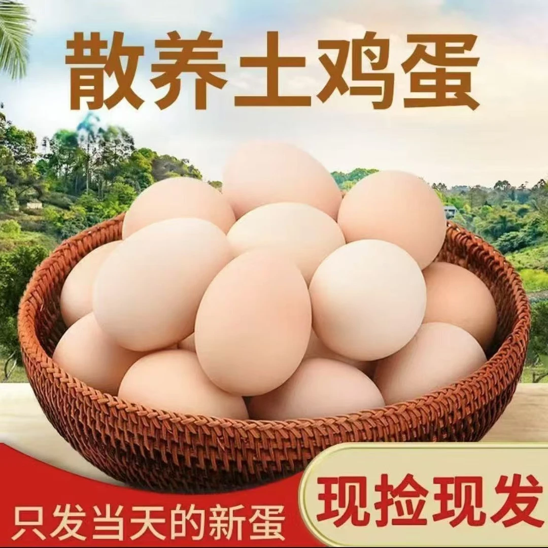 【80枚土鸡蛋】农家散养土鸡蛋  现捡现发破损包赔80枚/3200g